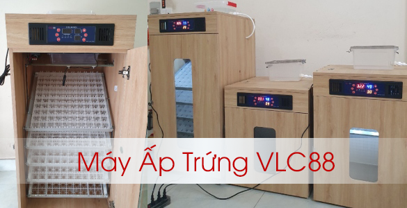 Máy Ấp Trứng VLC88